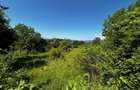 Teren doua loturi 3100/14 mp. - 2800/12 mp. Daesti - Valcea - 7
