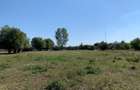 Vand / Schimb Teren Nufaru - Ilganii de Jos - 6254mp cu utilitati si deschidere la Dunare | 10km de Tulcea ( Delta Dunarii) - 5