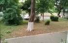 Vind apartament 2 camere ultracentral.Pret 60000 euro - 3