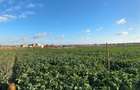 teren intravilan de vanzare agigea, constanta 500 mp - 7