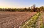 Vand teren 1,9 ha, zona 3 insule, aproape de Mures! - 5