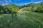 Teren de vanzare | 12 259mp | - 2