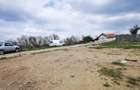 Teren 26500mp investitie dezvoltator imobiliar km 7 Calea Caransebesului 11 euro negociabil - 5