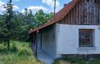 Casa la tara de vanzare - 3