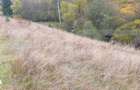 Teren intravilan, 4000 mp, zona Panaci - Vatra Dornei