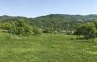 Teren de vanzare Com Berislavesti, Valcea - 6