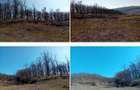 Teren Loc. Lapos, jud. Prahova ; ID: R2967508 - 4
