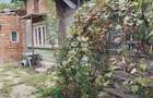 Casă cu 5 camere cu Teren 1300 Mp în Crivina - 3