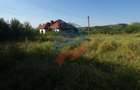 Teren  8 227 mp + Casa demolabila de vanzare in Filiasi -  Fratostita Dolj - 8
