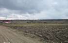 Oportunitate investitie Teren intravilan in Bacau - 4