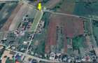 Teren 5000mp, front stradal 200ml, Miroslava Proselnici - 6