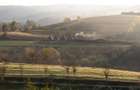 Teren de 2 Hectare (20.000 mp) cu doua case restaurate Tarnova, Cara?-Severin - 6