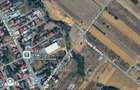 Teren intravilan 430 mp | Direct la asfalt | Str. Codrului, Berceni - 4