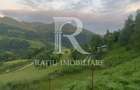 Teren 10.900mp | Panorama in Apuseni | Remeti -Ideal pentru Investitii - 3
