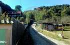 Teren 962.79mp Bujoreni / Strada Stejarului - 5