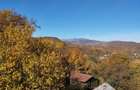 Casa si livada, de vanzare in localitatea Pausesti-Maglasi, sat Coasta. - 5