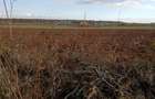 Teren intravilan industrial 5.000 mp 700 m de DN1 utilita?i (gaz, curent, apa, iluminat) Urleta