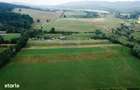 Teren 10,000mp Nemtisor / DJ 155C - 3