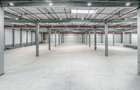 Hale industriale de închiriat în WDP Timișoara - 4