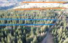 Teren 17,895mp Dorna-Arini / Prelungirea Cozane?ti - Dorna Arini (Suceava)