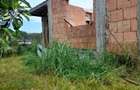 Constructie casa Peciu Nou
