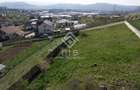 Teren de vanzare 10 ari - zona LEONI - 6