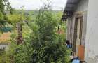 Casa ?i teren de vanzare Com.Vela ,sat Suharu,jud.Dolj - 9