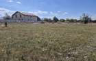 Teren intravilan- 1000mp- Harman-Brasov