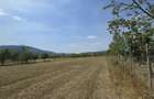 Teren Agapia 4270mp - platou - 5