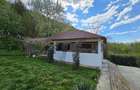 Comuna Budeasa Mare, Arges - 10