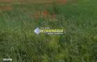 Teren intravilan 600 mp - 1800 mp zona Valea Popi
