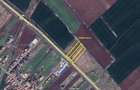 Vand Teren 7244 mp Timisoara pe Centura zona Aeroport front 63 m proprietar 22 Euro mp - 1