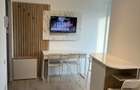 Studio si apartament 2 camere de inchiriat - 4