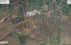 Teren extravilan 32.5 ha - Brasov - Prejmer - 1