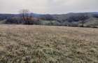 De vanzare,Tomnatic Bihor - 6