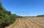 RECO Teren extravilan Holod 27400 mp - 9