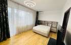 Penthouse 3 cam, in Herastrau,  650.000 euro - 9