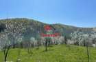 Teren extravilan in Brebu(Pietriceaua)--9104mp--50.000e - 20