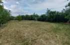 Teren intravilan de vanzare | 900 mp | Movila | Toate utilitatile - 6