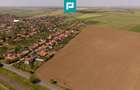 Teren extravilan de 28500 mp lângă Șofronea