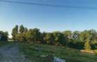 Casa de vanzare, 3 camere, teren 1356mp, zona frumoasa - 1