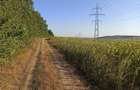 Teren extravilan , arabil 5.400 mp situat la marginea padurii Santa . - 4