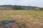 Vand teren intravilan - 6