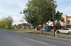 Teren 600 mp de vanzare in Paleu | Str. Principala - 2