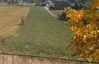 Spațiu comercial, în Nazna