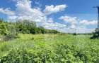 Teren 9.300 mp pentru investitie, Dorohoi, langa viitoarea sosea de ce - 1