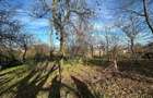 Teren Agricol - Bonus O Casa - 4