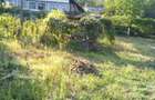 Casa de vanzare + teren si padure, Comuna Dumbrava de Jos, Sat Higiu - 2