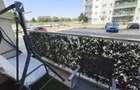 Apartament 3 camere Dimri Residence - 3