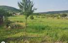 Teren intravilan Aghiresu-Fabrici - 7